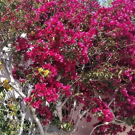 Сasa de vacaciones Beautiful House By The Sea,loutraki Skaloma. Loutráki