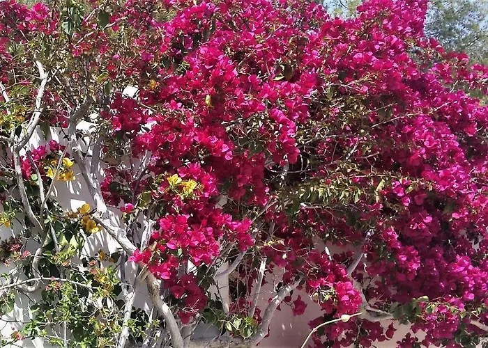 Nyaraló Beautiful House By The Sea,loutraki Skaloma. Lutráki